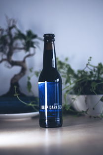 玻璃瓶中的社会责任 波兰华沙啤酒业的蓝色常春藤